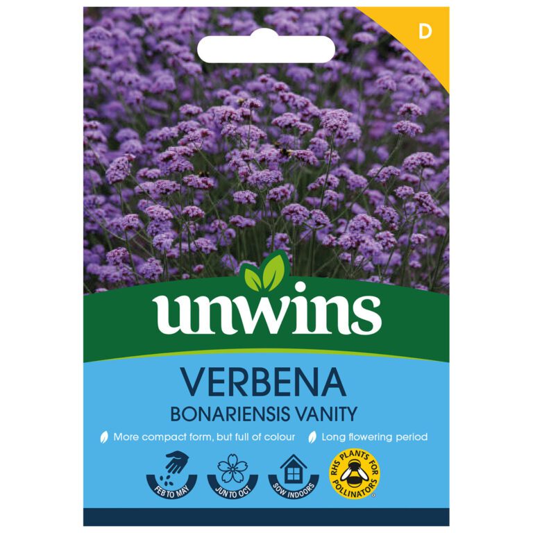 5051618025133 1 Verbena Bonariensis Vanity Seeds.jpg